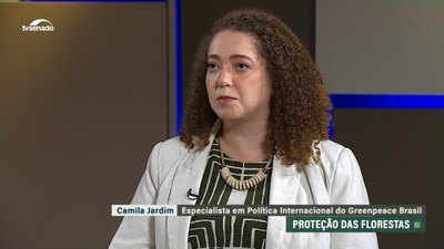 Florestas em pé são fundamentais para enfrentar mudanças climáticas, diz integrante do Greenpeace