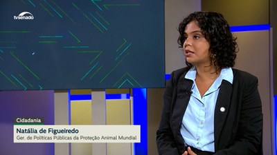 Violência contra animais e caminhos para assegurar o direito animal