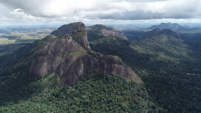EcoSenado Especial 200 anos mostra a trajetória da legislação ambiental no Brasil