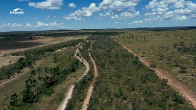 Desmatamento no Brasil cai. A taxa do Cerrado ultrapassa a da Amazônia pela primeira vez
