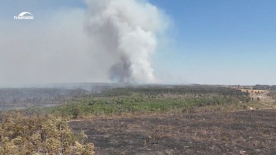 Preservação da Amazônia é fundamental para o equilíbrio climático do planeta