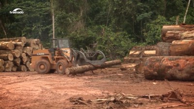 #Audiodescrição | Ministra Sonia Guajajara recebe o Prêmio Campeões da Terra