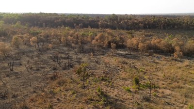 #Audiodescrição | O combate aos efeitos da seca prolongada e a proteção dos biomas