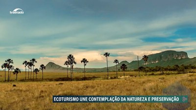 EcoSenado mostra os impasses a respeito da Ferrogrão