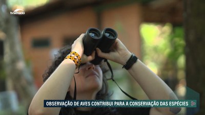 Estudo mostra que Brasil pode zerar emissões de carbono até 2040