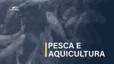 Pesca e aquicultura no Brasil: audiência mostra potencial de crescimento