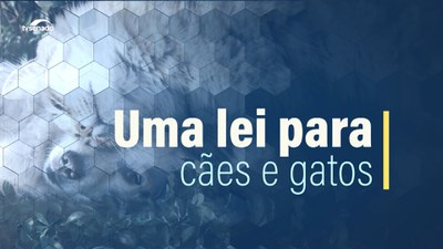 Animais domésticos: reforço na proteção está em análise no Congresso