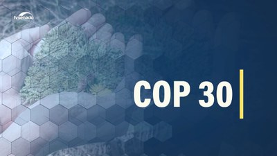 COP 30: mudanças climáticas e os riscos da economia não sustentável