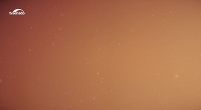 Bandeira maranhense homenageia as etnias que formam a população do estado