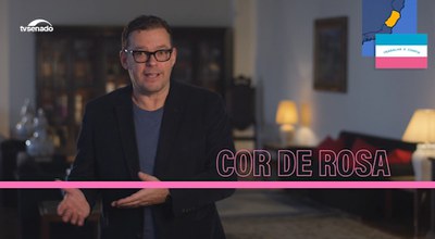 Três cores e uma frase compõem a bandeira do Espírito Santo