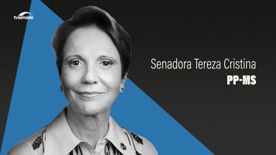 Senadora Tereza Cristina destaca importância do Senado como Casa Revisora