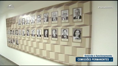 Entenda as funções das comissões permanentes do Senado