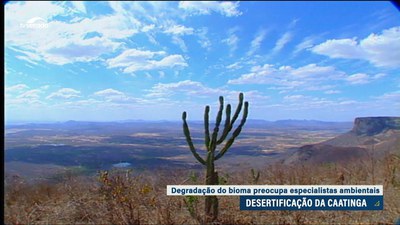 Alerta de ambientalistas: O único bioma exclusivamente brasileiro corre risco de virar deserto