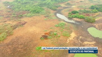 Estatuto do Pantanal: lei federal prevê proteção, recuperação e uso sustentável