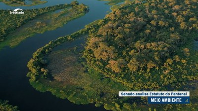 Senado analisa Estatuto do Pantanal na próxima quarta-feira