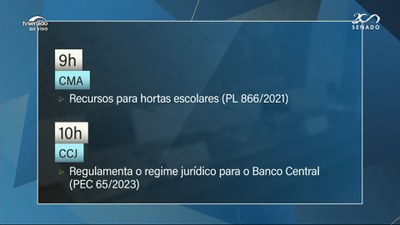 PEC que concede autonomia financeira e orçamentária ao Banco Central pode ser votada na CCJ