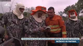 Queimadas no Pantanal mobilizam autoridades públicas