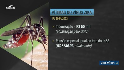 Indenização para vítimas do Zika Vírus é aprovada na CAE e vai ao Plenário