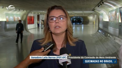 CMA vai debater questão dos incêndios; Leila Barros diz que país enfrenta incêndios dolosos