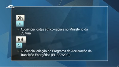 Cotas raciais na cultura e aceleração da transição energética são temas em debate nesta quinta