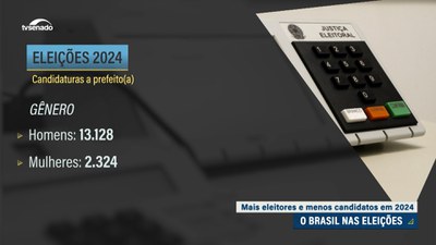 Eleições Municipais: confira números sobre o pleito deste ano e o perfil dos candidatos