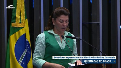 Em Plenário, senadores repercutem queimadas e pedem união para o enfretamento ao problema