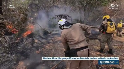 Ministra Marina Silva afirma que situação de incêndios poderia ter sido evitada