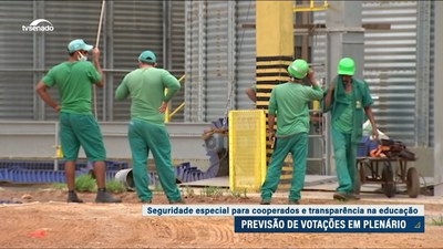 Plenário do Senado deve votar projeto sobre seguridade especial a cooperados