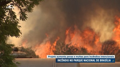 Queimadas: projeto aumenta pena e multa para incêndios intencionais