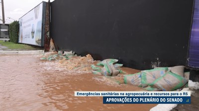 Senado aprova crédito de R$ 12,2 bilhões no Orçamento para recuperação do Rio Grande do Sul