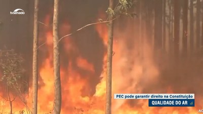 Senado debate PEC para garantir qualidade do ar como direito constitucional