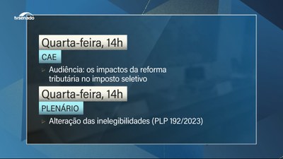 Agenda: Senado pode votar mudança na lei eleitoral sobre inelegibilidades