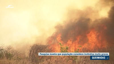 DataSenado avalia percepção da população sobre os incêndios: maioria considera ação criminosa