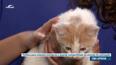 Guarda compartilhada de animais é aprovada pela CMA entre outros ítens