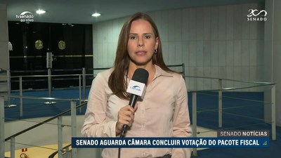 Com sessão deliberativa marcada, Senado aguarda Câmara terminar análise do pacote fiscal