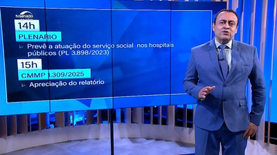 Pauta: Direitos da pessoa com deficiência no transporte aéreo e serviço social em hospitais públicos