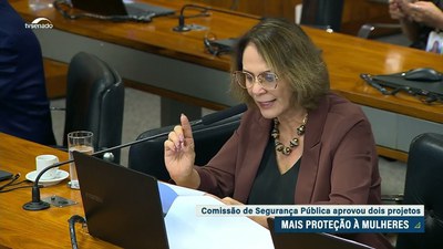 Comissão aprova criação do programa Mulher Alerta para proteção de mulheres
