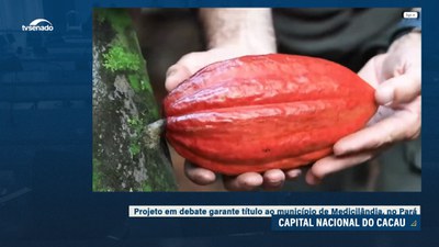 Título de capital do cacau para Medicilândia, no Pará, recebe apoio em audiência pública
