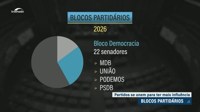 Confira quais são os blocos partidários no Senado