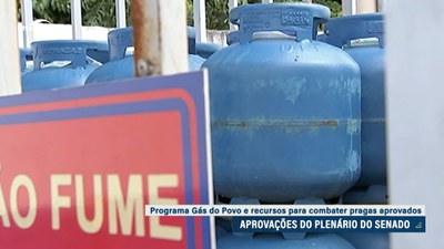 No retorno às atividades, Senado aprova 'Gás do Povo' e MP de crédito para combate a pragas