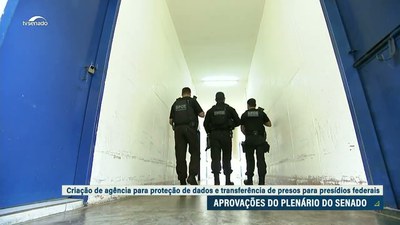 Plenário: aprovadas agência para proteger dados e prisão federal para quem matar policial