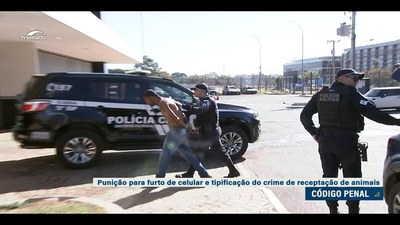 Animais, fios, celulares, bancos: Plenário aprova mudanças no Código Penal