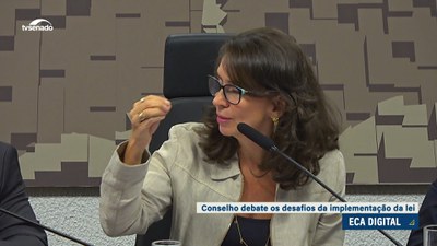 Conselho de Comunicação Social avalia que implementação do ECA Digital é tarefa complexa