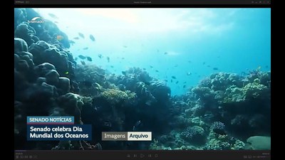 Preservação da biodiversidade e riqueza econômica: Senado celebra Dia dos Oceanos