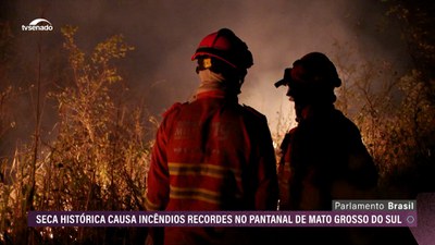 (Audiodescrição) Incêndios recordes no Pantanal e ataques de piratas no Amazonas