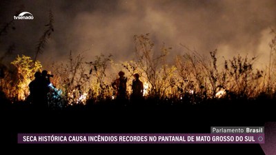 Incêndios recordes no Pantanal e ataques de piratas no Amazonas: desafios para prevenção e combate