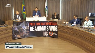 Exportação de animais vivos: cruel e contra a lei.