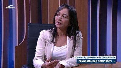 Em 2024, Comissão de Defesa da Democracia deve ouvir brasileiros em audiências nos estados