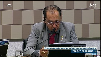 Edição da noite: Senado aprova isenção de IPVA para veículos mais velhos e CCJ aprova PEC das drogas