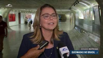 Edição da Tarde: Pacheco diz que mudanças na lei podem ser debatidas para conter incêndios no país